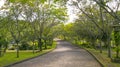 Twisty roads in the park Royalty Free Stock Photo