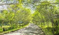 Twisty roads in the park Royalty Free Stock Photo