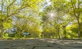 Twisty roads in the park Royalty Free Stock Photo