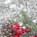 Twiter with holly berries on the silver snowflakes Royalty Free Stock Photo