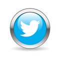 Twitter icon button