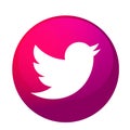 Twitter logo icon bird vector in pink element on white background Royalty Free Stock Photo