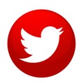 Twitter logo icon bird vector in red element on white background Royalty Free Stock Photo