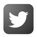 Twitter logo icon bird vector in black element on white background Royalty Free Stock Photo