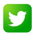 Twitter logo icon bird vector in green element on white background