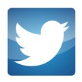 Twitter logo icon illustration bird vector element popular social media design