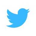 Twitter Old logo vcetor. Twitter rebrand little bird to X letter symbol. Elon Musk change social media logo Novation. X New