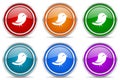 Twitter silver metallic glossy icons, set of modern design buttons for web, internet and mobile applications in 6 colors options