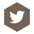 Twitter social media app icon