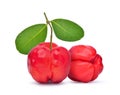 Two Acerola Cherries with leaves Royalty Free Stock Photo