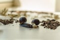 Two Achatina snails on the light background. Extreme close-up macro photography of mollusks. Selective fokus