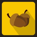 Two acorn icon, flat style