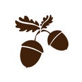 Two Acorn icon isolated. Vector patern art leaves and fruits. Vector illustration for logo, design concepts, interfaces, apps or