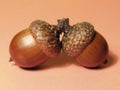 Two acorns Royalty Free Stock Photo
