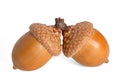 Two acorns Royalty Free Stock Photo