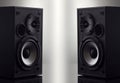 Two Acoustic sound speakers with copy space. Multimedia, audio and sound concept