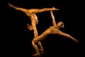 Two acrobatic girl