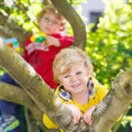 Two active little kid boys enjoying climbing on tree Royalty Free Stock Photo