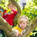 Two active little kid boys enjoying climbing on tree Royalty Free Stock Photo