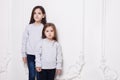 Two adorabile little girl in sweater and jeans, posing together on white background. Space copy. Royalty Free Stock Photo