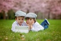 Two adorable boys in a cherry blossom garden in spring afternoon Royalty Free Stock Photo