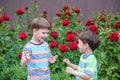 Two adorable brothers kids boys playing outdoors together Royalty Free Stock Photo