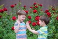 Two adorable brothers kids boys playing outdoors together Royalty Free Stock Photo