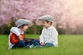 Two adorable caucasian boys in a blooming cherry tree garden, pl Royalty Free Stock Photo