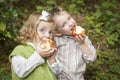 Two Adorable Children Eating Apples Outside Royalty Free Stock Photo