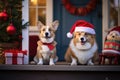 Two adorable corgi dogs in Christmas costumes on the snowy porch of a house.