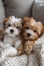 Two adorable fluffy puppies cuddled on a cozy blanket. perfect pet companions showing affection. AI
