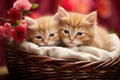 Two adorable kittens find comfort in a basket as they sit surrounded by beautiful roses, creating a heartwarming scene, Adorable