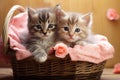 Two adorable kittens peacefully sitting side by side in a cozy basket, Adorable kittens cuddling in a heart-shaped basket, AI