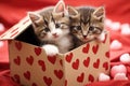 Two adorable kittens with playful expressions are captured inside a box, creating a heartwarming scene, Two black and white