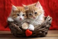 Two adorable kittens resting in a basket, surrounded by love with a heart-shaped decoration in red, Adorable kittens cuddling in a