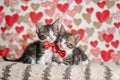 Two adorable kittens wearing red bow ties and cuddling together, set against a heart-patterned wallpaper backdrop. These images