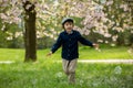 Two adorable preschool children, boy brothers, playing with little chicks Royalty Free Stock Photo