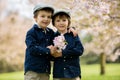 Two adorable preschool children, boy brothers, playing with little chicks