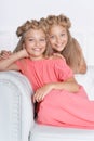 Two adorable twin sisters in beautiful pink dresses