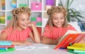 Portrait of two adorable twin sisters doing homework together