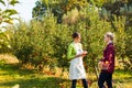 Two adorable women among apple trees at the farm Royalty Free Stock Photo