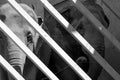 Two adult Asian elephant behind bars Royalty Free Stock Photo