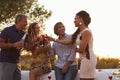 Two adult couples on a rooftop making a toast at sunset