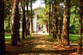 Two adult women visit Rowan Oak,