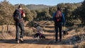 Two adventurous male hikers hiking in a park with their pet dogs