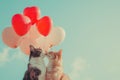 Two affectionate cats nuzzle each other with a backdrop of heart-shaped balloons against a clear blue sky