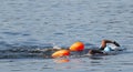 Two african american female swimmers swimming together in the bay Royalty Free Stock Photo