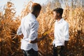 Two African farmers check the harvest in a corn field Royalty Free Stock Photo