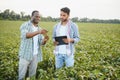 Two African and Indian farmers check the harvest in a corn field. Royalty Free Stock Photo