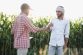 Two African and Indian farmers check the harvest in a corn field. Royalty Free Stock Photo